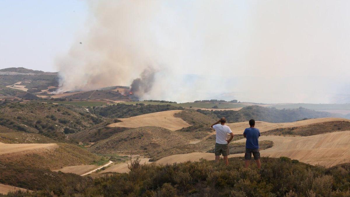 Imagen del incendio de Artajona. Foto: Javier Bergasa