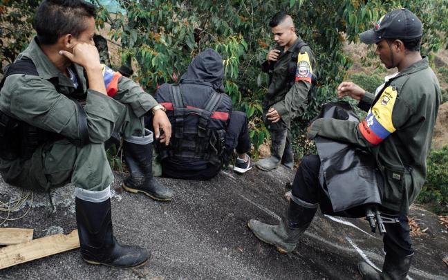 Un grupo de guerrilleros disidentes de las FARC. Un grupo de guerrilleros disidentes de las FARC.