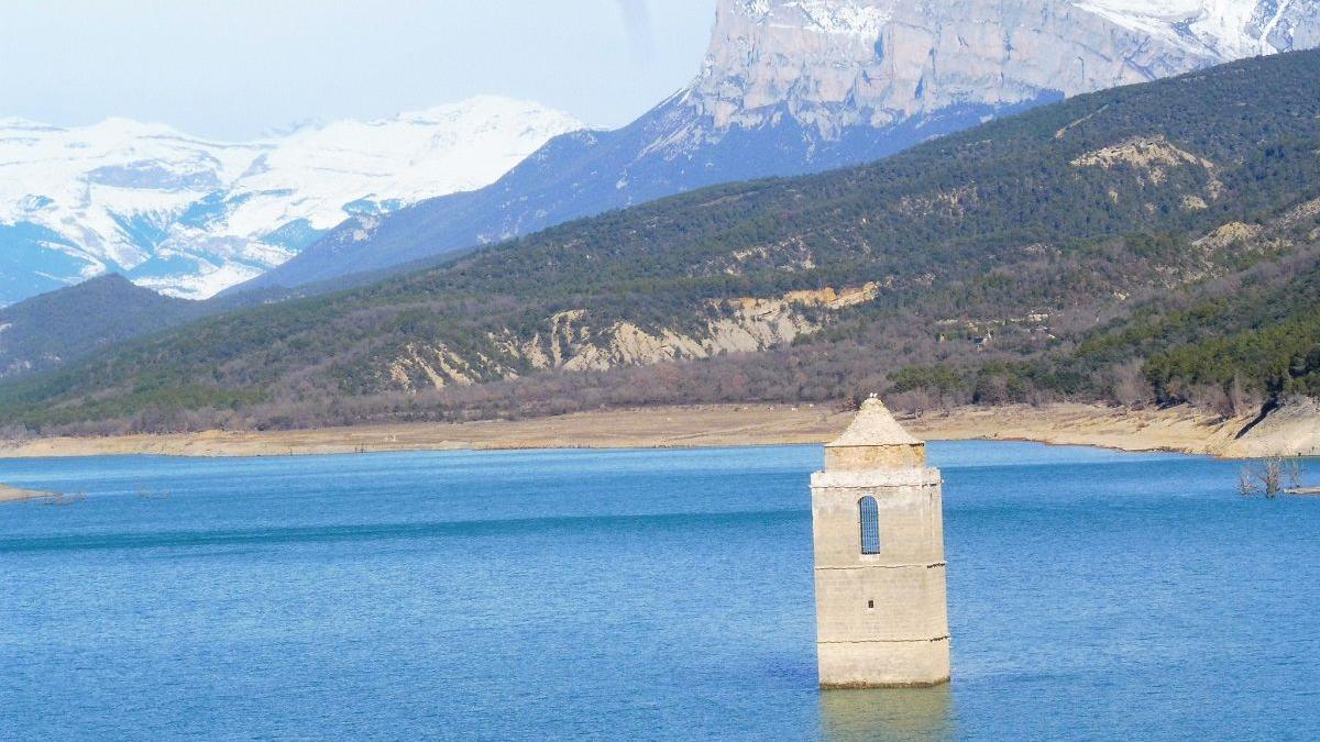 Dama del agua en el embalse del Mediano