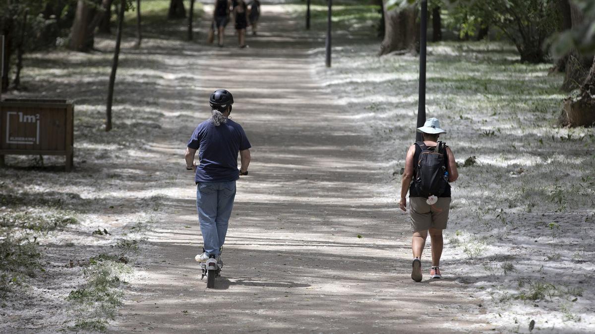 La primavera entra este lunes en Navarra con buen tiempo.