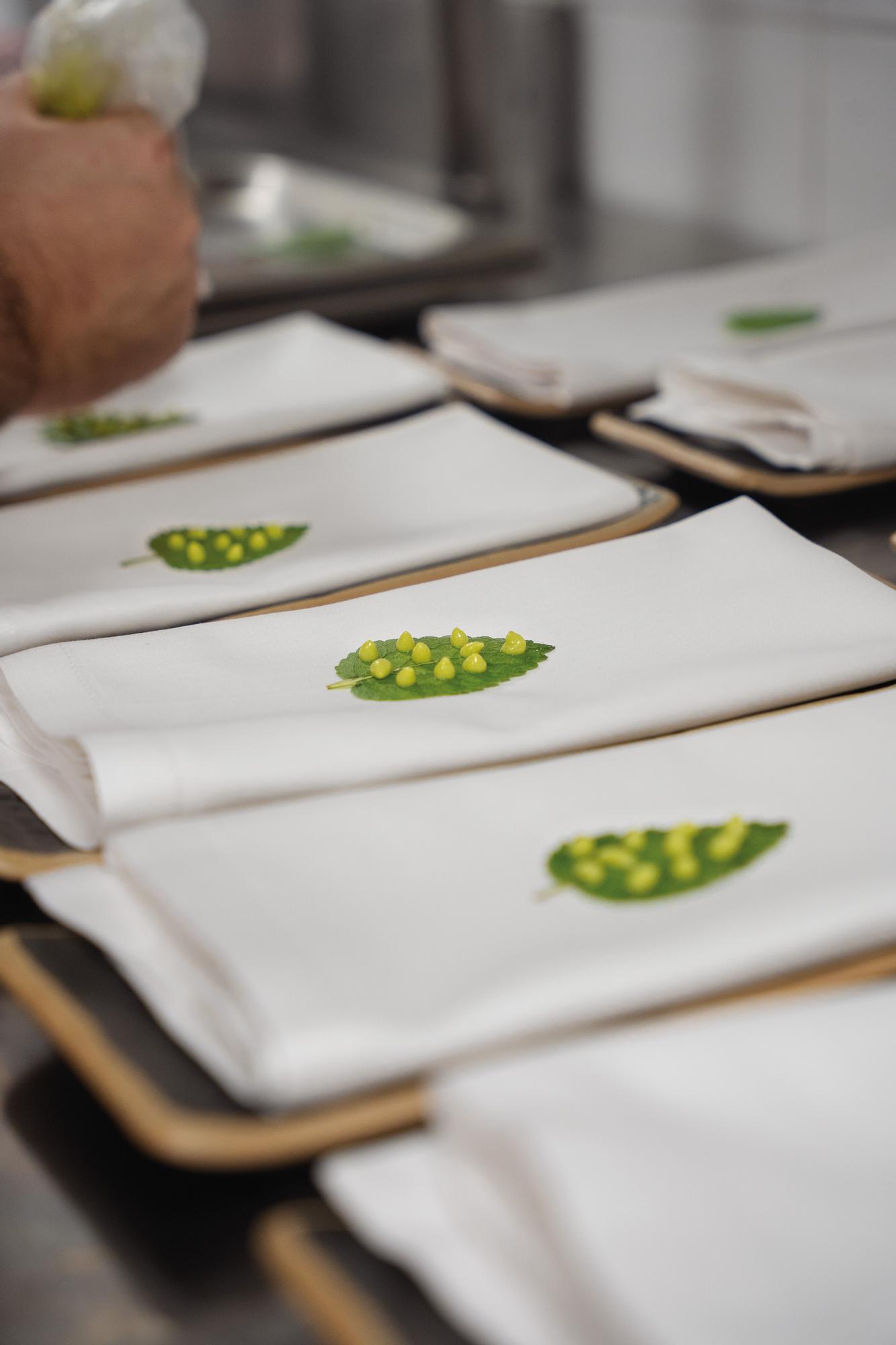 Preparando un plato de inspiración vegetal.