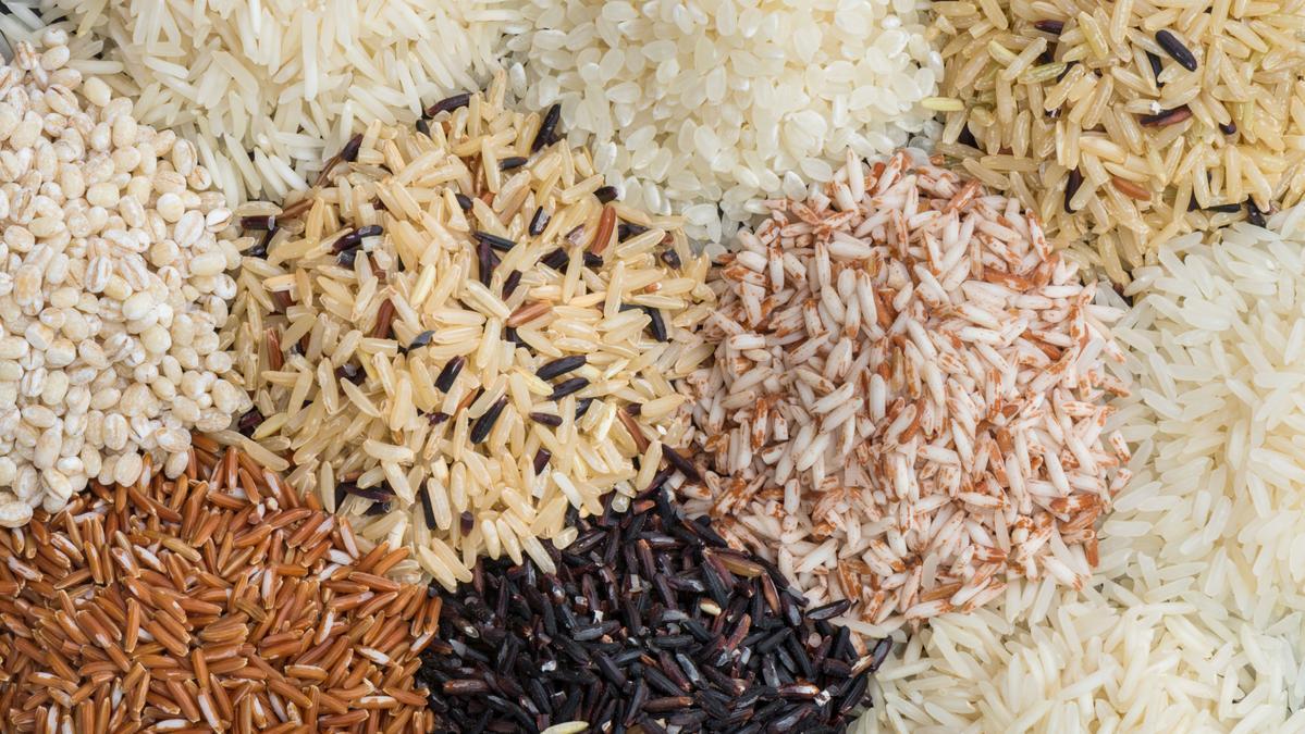 Distintas variedades de arroz.