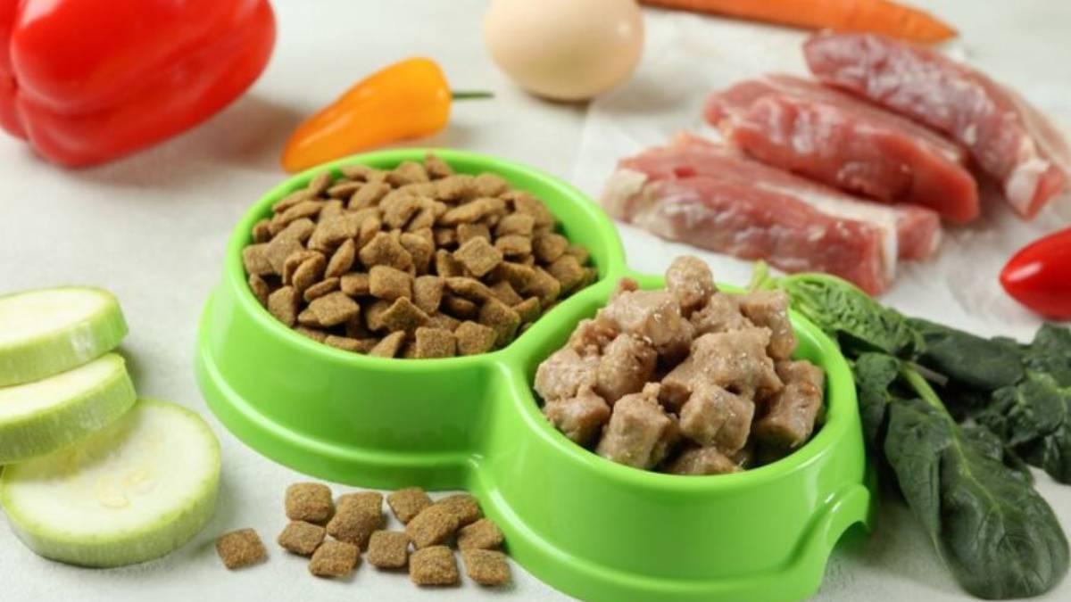 La proteína animal, los vegetales y las grasas saludables son fundamentales en cualquier dieta animal.