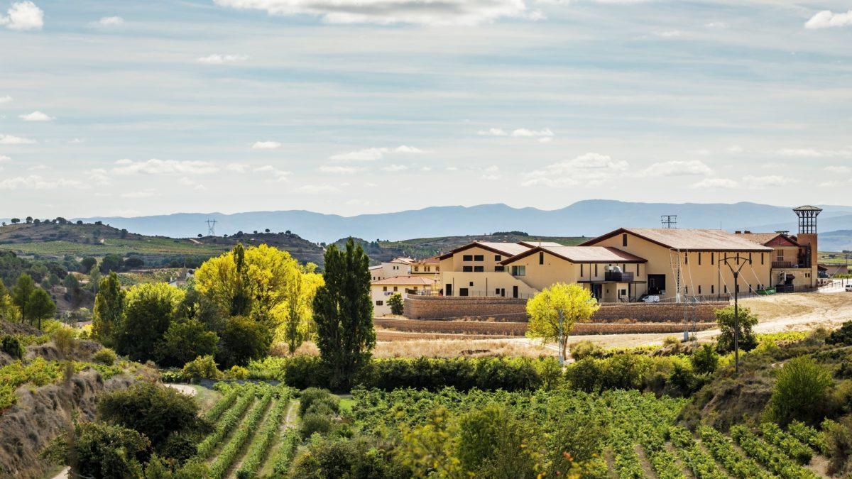 Una de las bodegas de Villabuena de Álava
