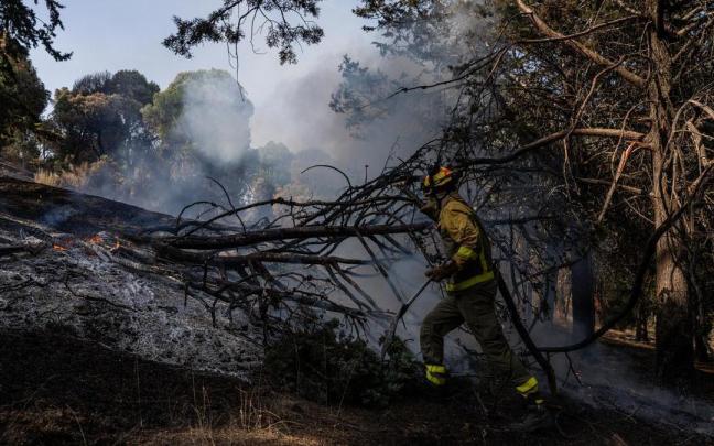 Un bombero trabaja en las tareas de extinción del incendio forestal en la Sierra Oeste de Madrid.