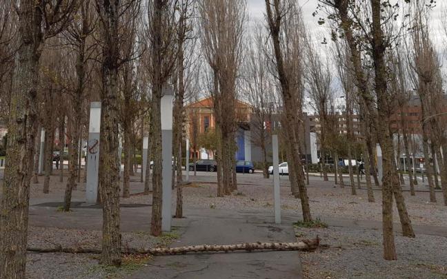 Un árbol caído por las fuertes rachas de viento. Un árbol caído por las fuertes rachas de viento.