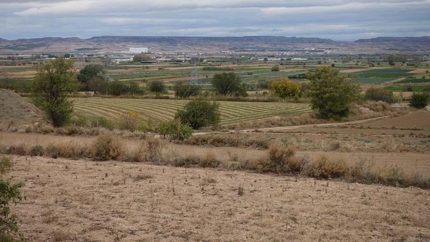 Vistas del campo de Ribaforada. Foto: Diario de Noticias