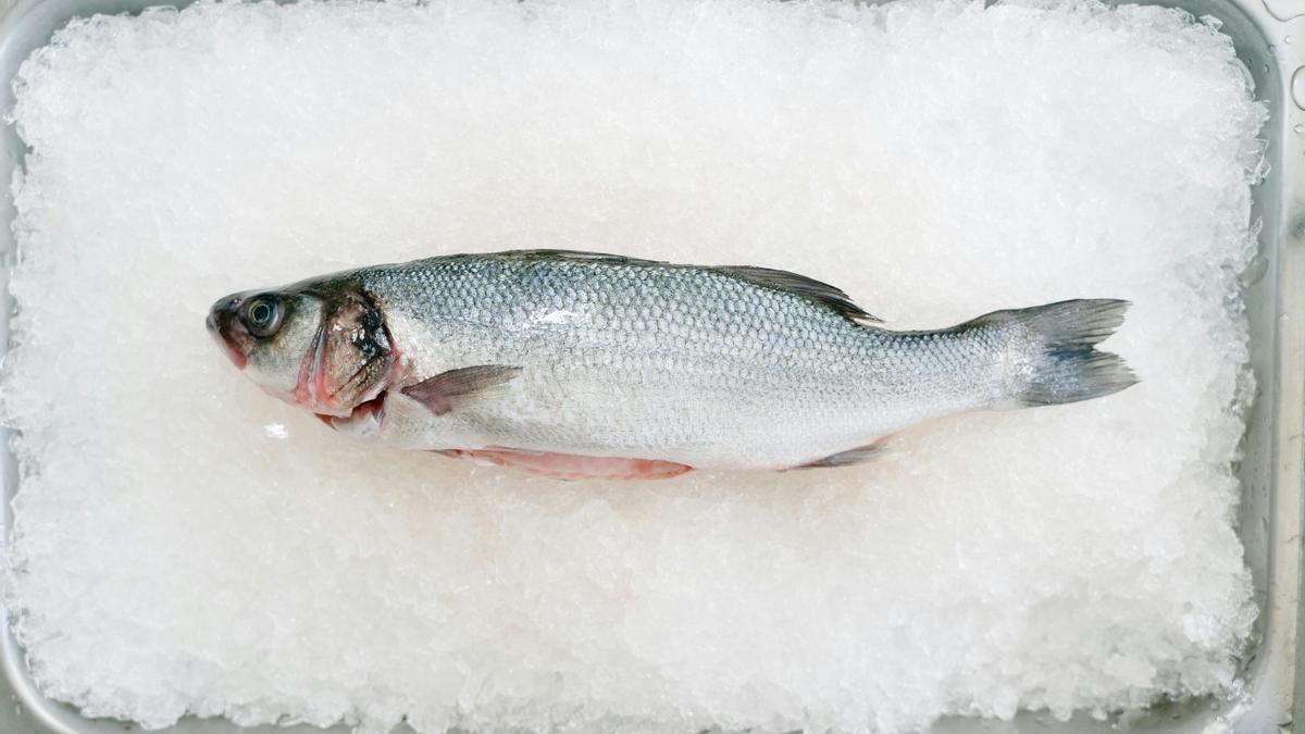 Pescado.
