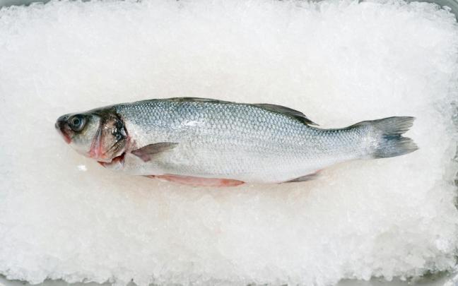Imagen de archivo de un pescado en hielo.