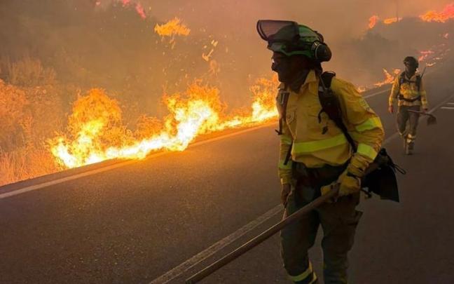 El incendio de Los Gallardos, en imágenes