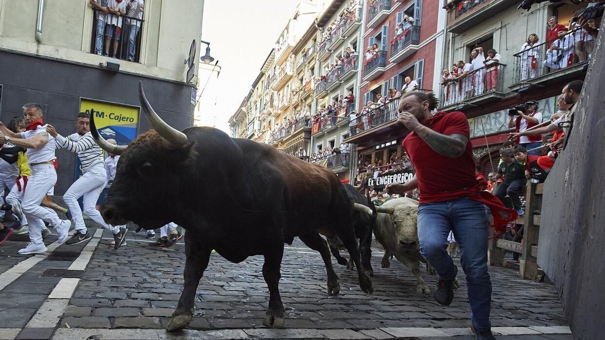 Toros de Fuente Ymbro.
