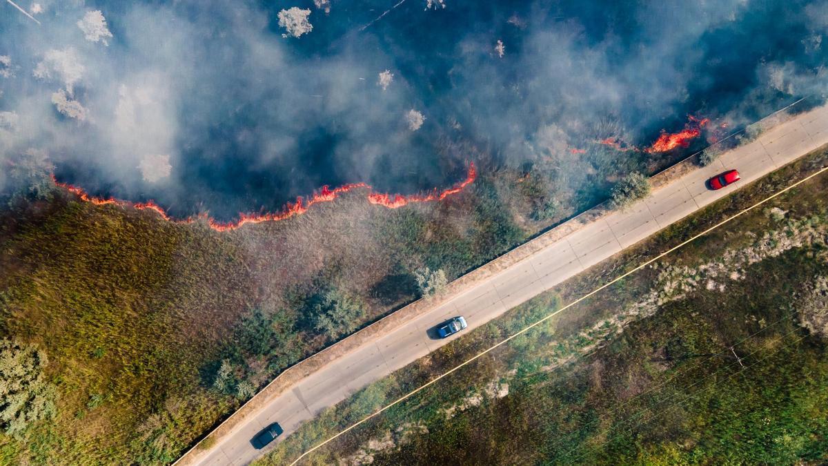 Un incendio en el bosque al lado de la carretera con vehículos en plena circulación.