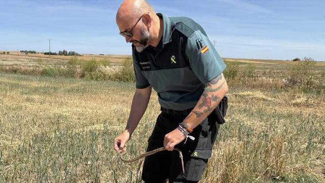 Los agentes de la Guardia Civil procedieron a soltar el ejemplar en el medio natural.