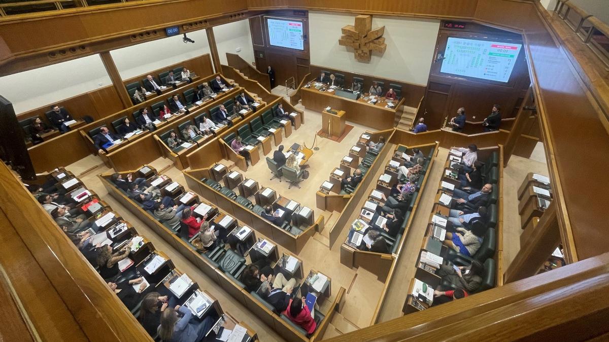 Pleno en la Cámara vasca.