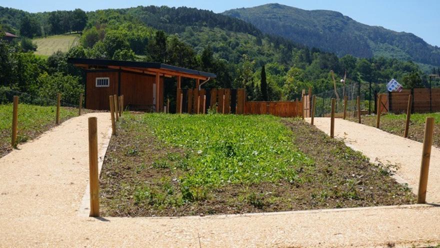 Huertos ecológicos de Plazaola.