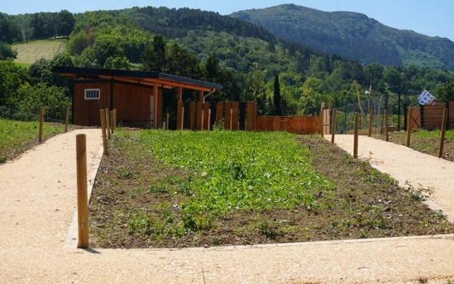 Huertos ecológicos de Plazaola.