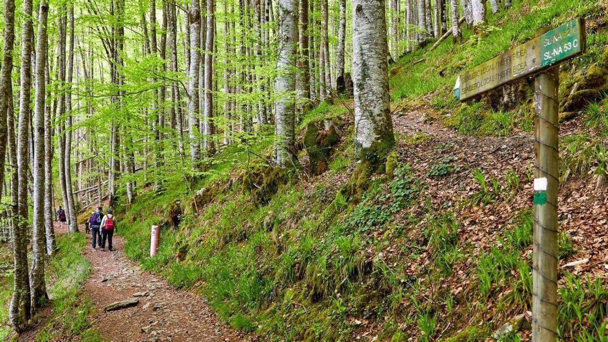 National Geographic propone seis rutas para adentrarse en "el paraíso otoñal de Navarra"