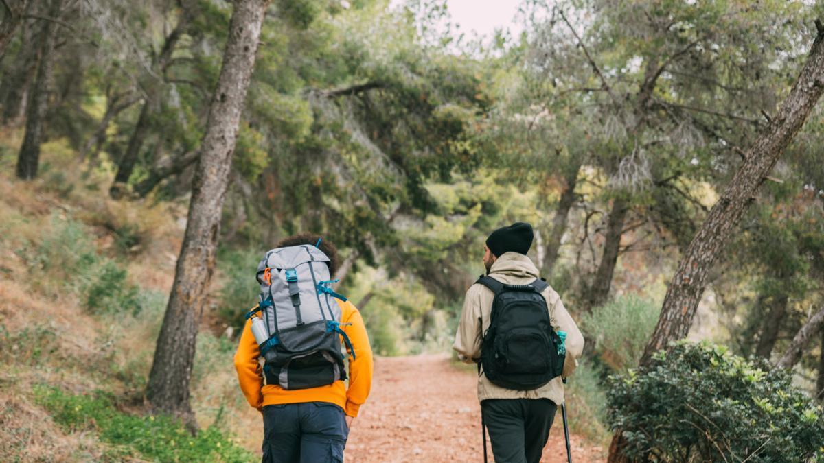 Una pareja sale a caminar por un bosque.