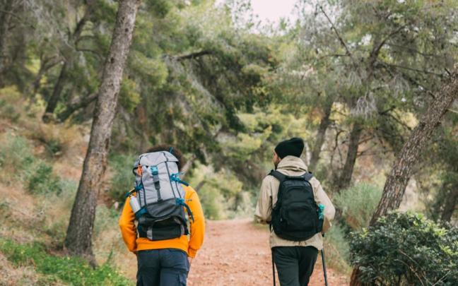Una pareja sale a caminar por un bosque.