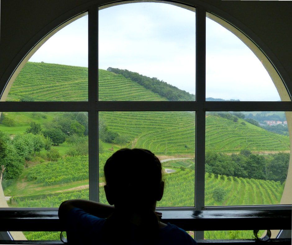Talai-Berri ha sido pionera en la incorporación de elementos técnicos en la bodega.