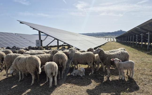 Planta fotovoltaica.