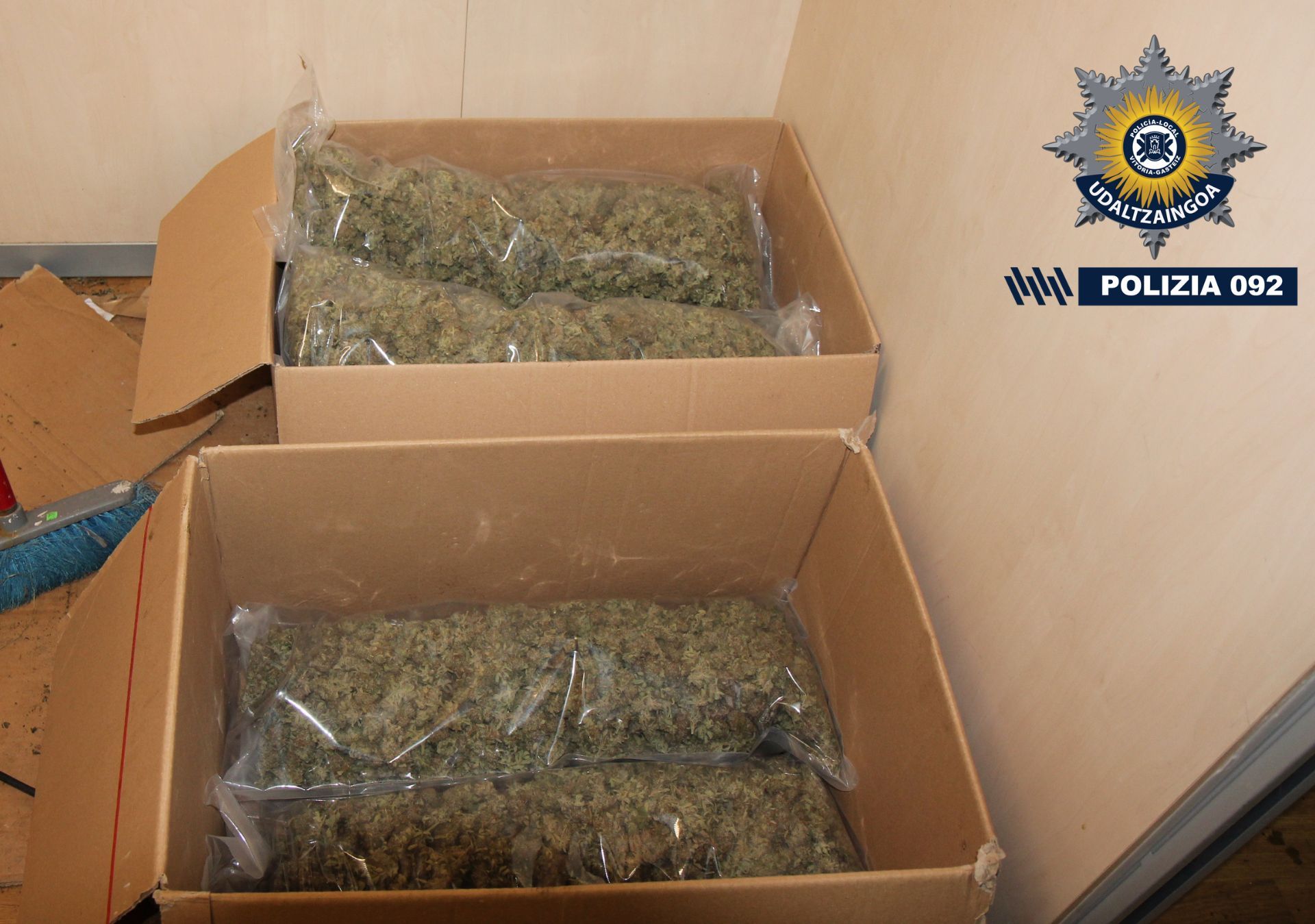 Se encontraron 380 plantas en proceso de cultivo así como algo más de 3 kilogramos de cogollos recogidos de una cosecha anterior