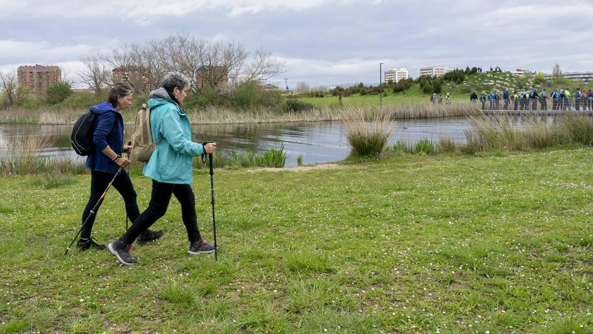 El Jardín Botánico de Olarizu está situado en el Anillo Verde de Gasteiz.