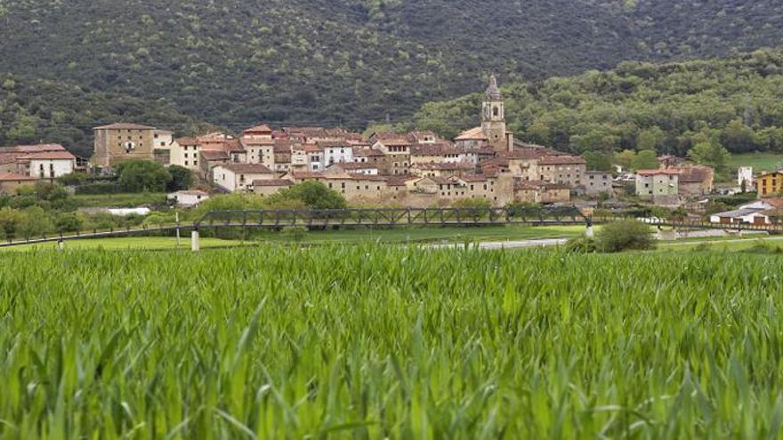 Panorámica de Antoñana