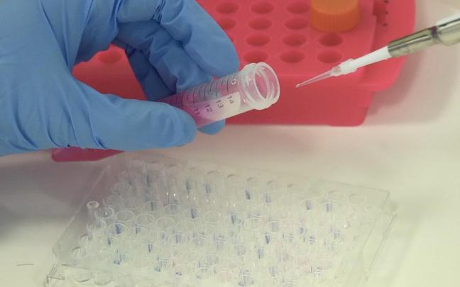 Un técnico en un laboratorio en un ensayo de un fármaco contra el cáncer. / EP Un técnico en un laboratorio en un ensayo de un fármaco contra el cáncer.