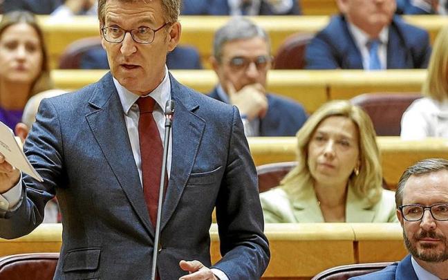 Alberto Núñez Feijóo, durante su intervención ayer en el Senado en un nuevo cara a cara con Pedro Sánchez. | FOTO: EFE