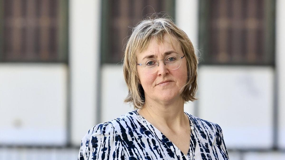 Pili Ibáñez de Garaio, director de CIPF Fraisoro Eskola LHII.