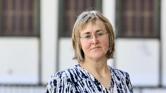 Pili Ibáñez de Garaio, director de CIPF Fraisoro Eskola LHII.