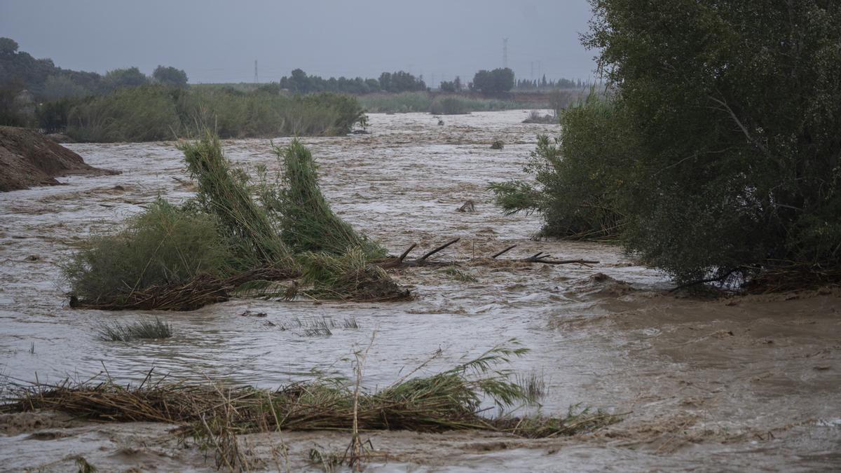 Imagen de la crecida del río Magre en Alfarp, Valencia