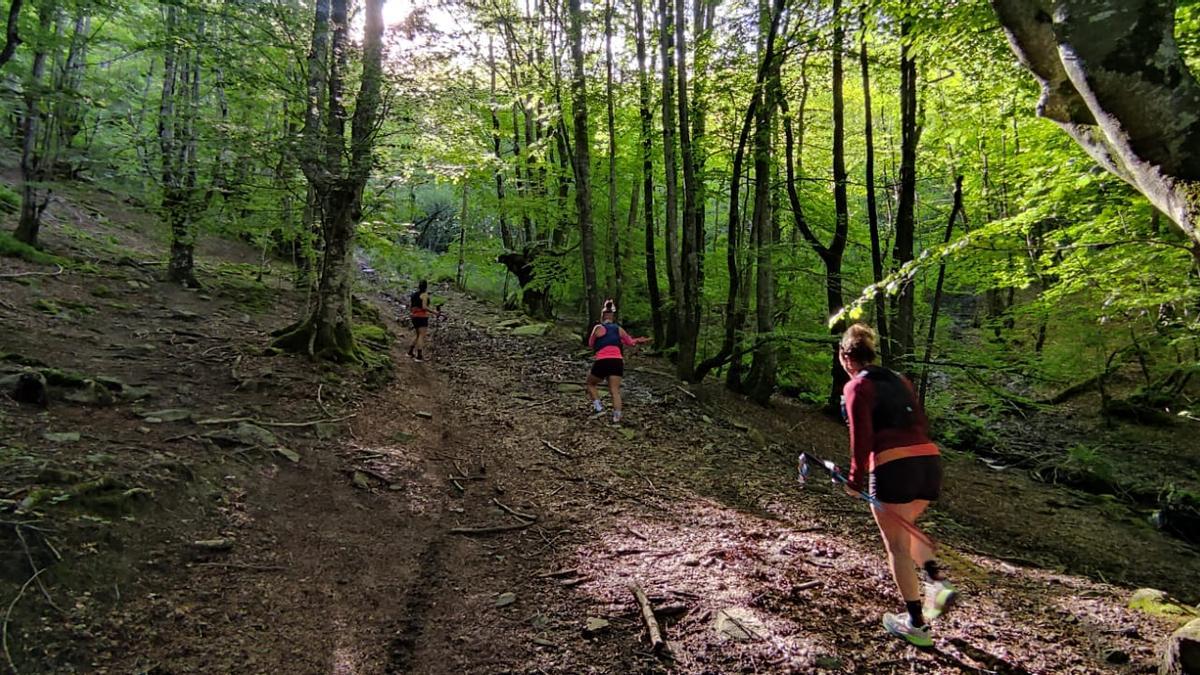 Subimos por un frondoso, verde y precioso bosque
