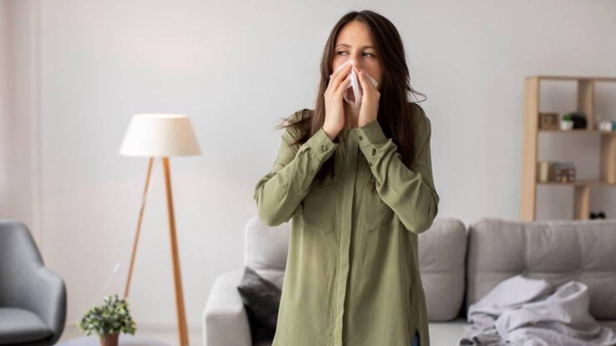 Los purificadores de aire se han convertido en aliados esenciales para aquellos que sufren de alergias, especialmente durante la temporada de primavera