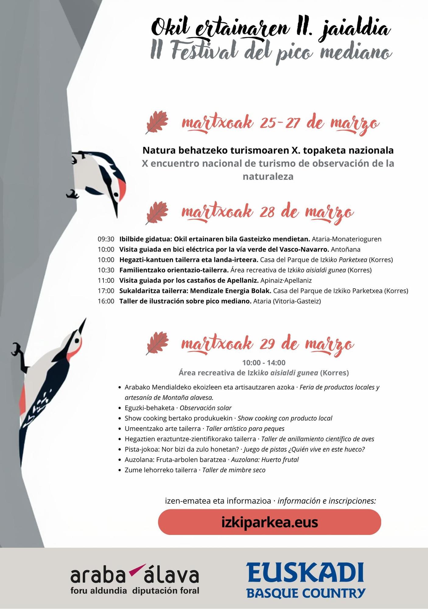 Programa del II Fesrtival del Pico Mediano en Izki