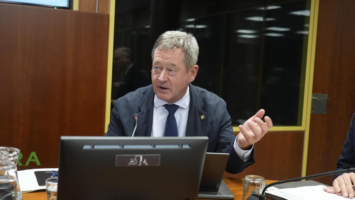 El consejero de Seguridad, Bingen Zupiria, este martes en comisión
