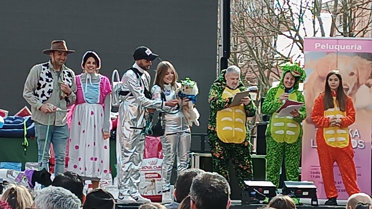 Así lucen las mascotas lucen sus mejores disfraces en el Carnaval de Sestao