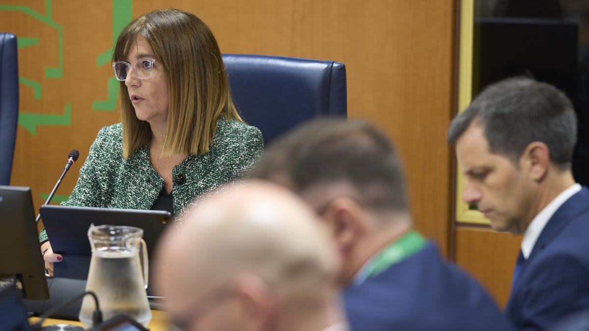 La consejera de Alimentación, Desarrollo Rural, Agricultura y Pesca, Amaia Barredo, ayer en el Parlamento Vasco.