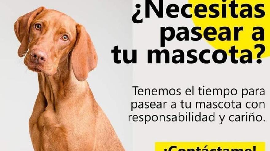 Uno de los anuncios que pueden encontrarse en redes sociales