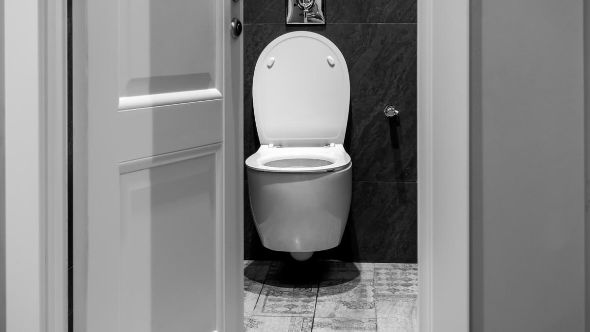 Un inodoro muy diferente al del apartamento de París.