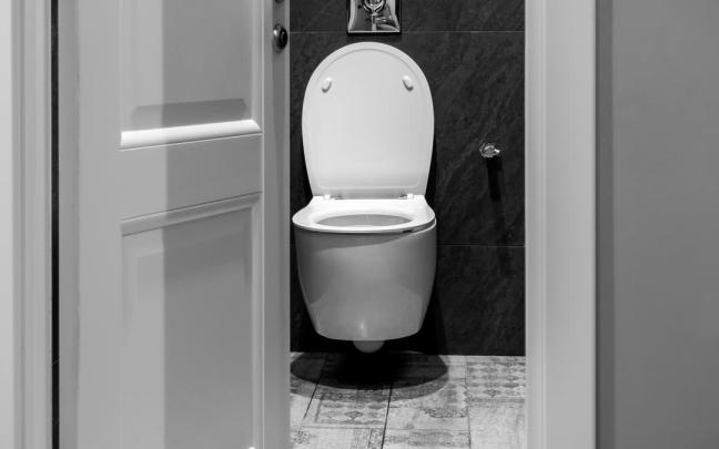 Un inodoro muy diferente al del apartamento de París.