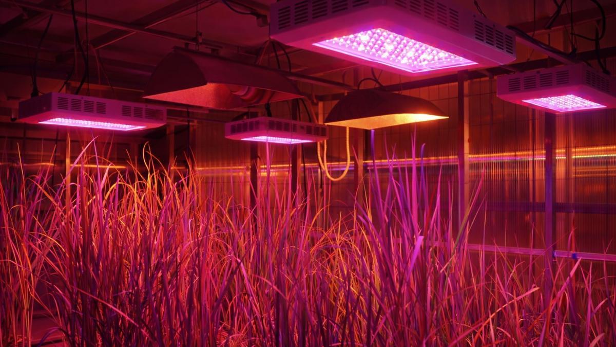 Proyecto Auzo Negutegia.