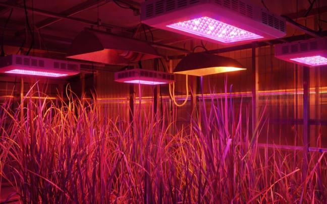 Proyecto Auzo Negutegia.