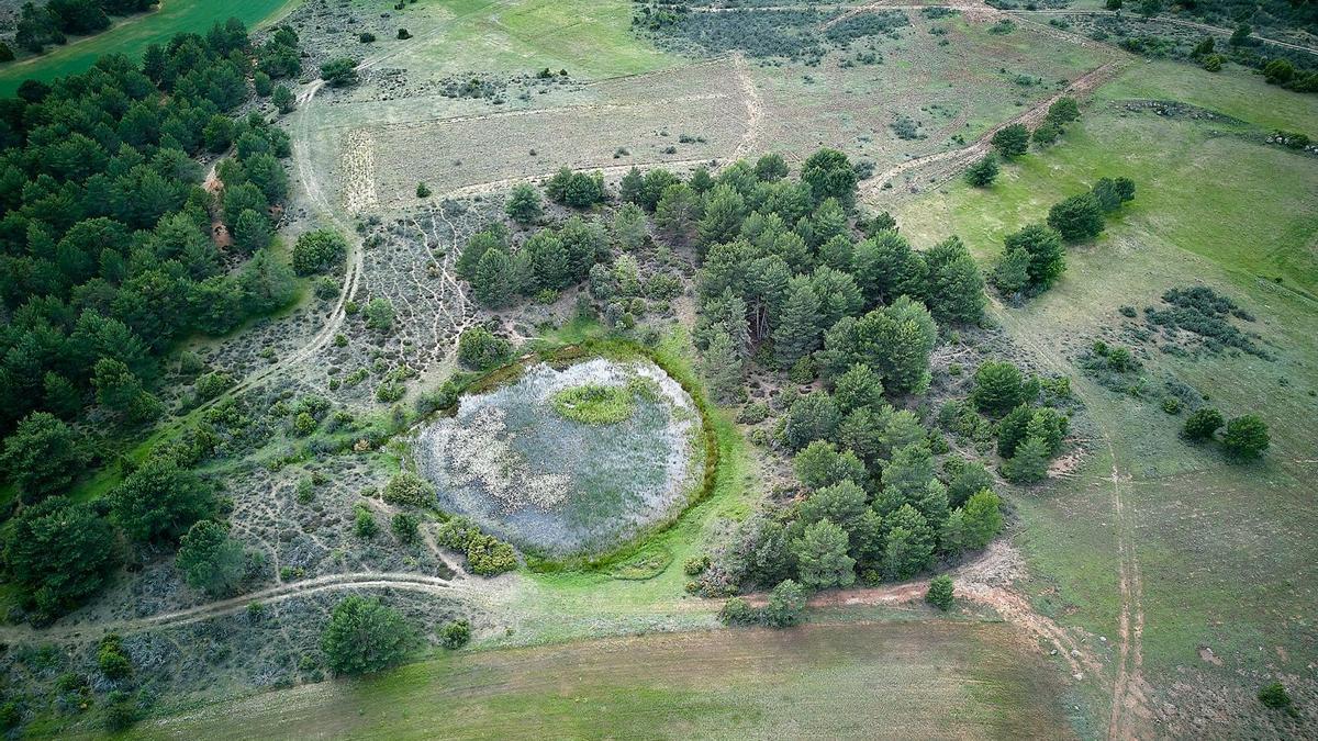 Poceairón, la puerta que el pueblo celta de los pelendones eligieron para comunicarse son sus dioses.