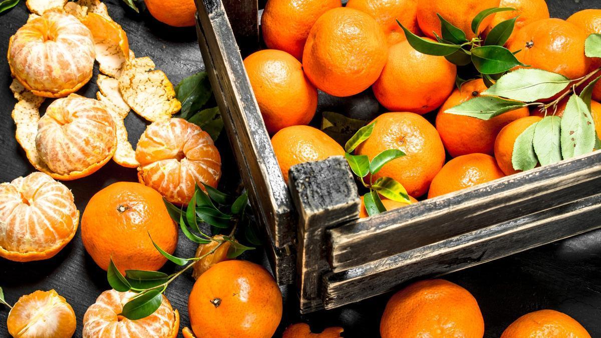 Una barca de mandarinas recién recolectadas y otras listas para consumir.