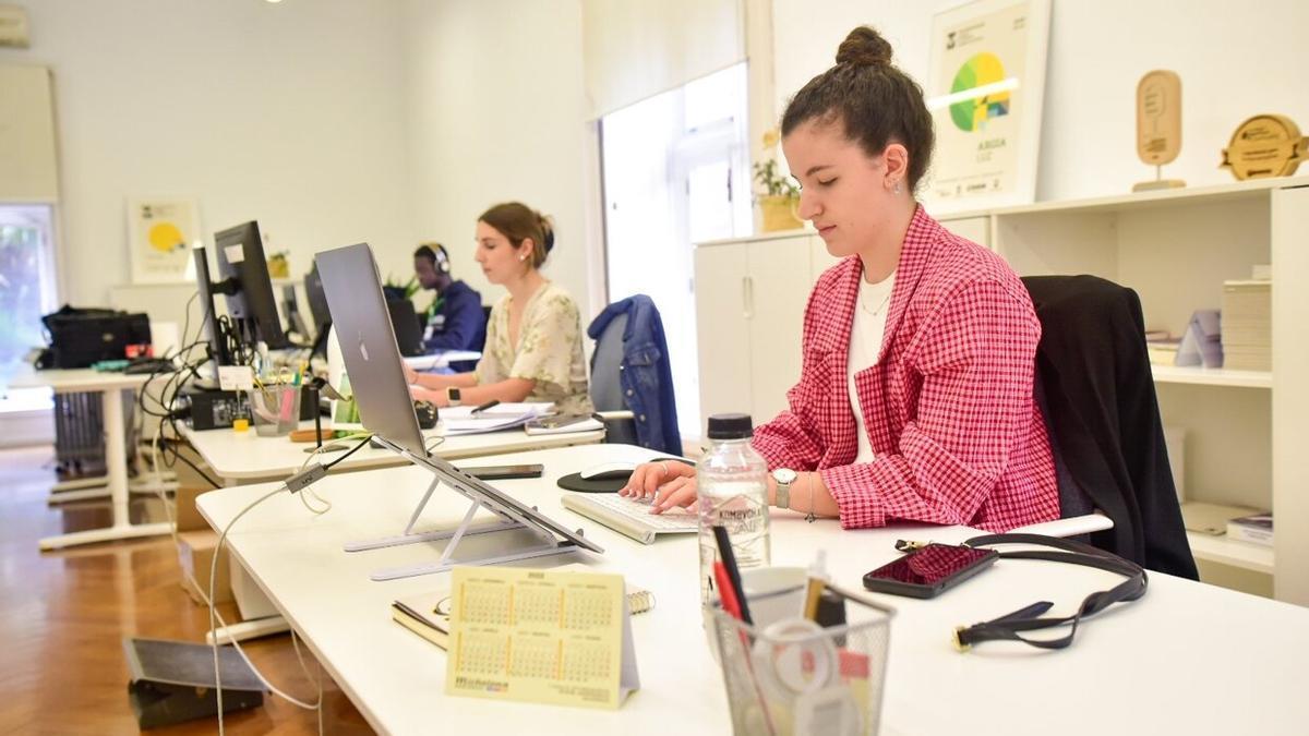 Gente joven trabajando en la oficina de comunicación del Palacio de Miramar durante el pasado verano