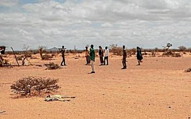 Sequía en África. Sequía en África.