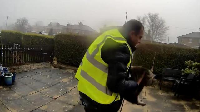 El repartidor, llevándose a la gata.