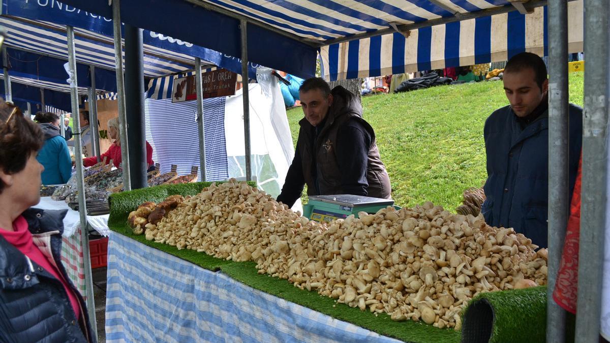 Stand de perretxikos en una anterior edición de la feria de Kuartango